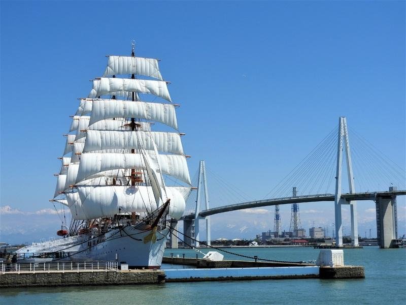 🏞️ 카이오우마루 파크 이미지 9